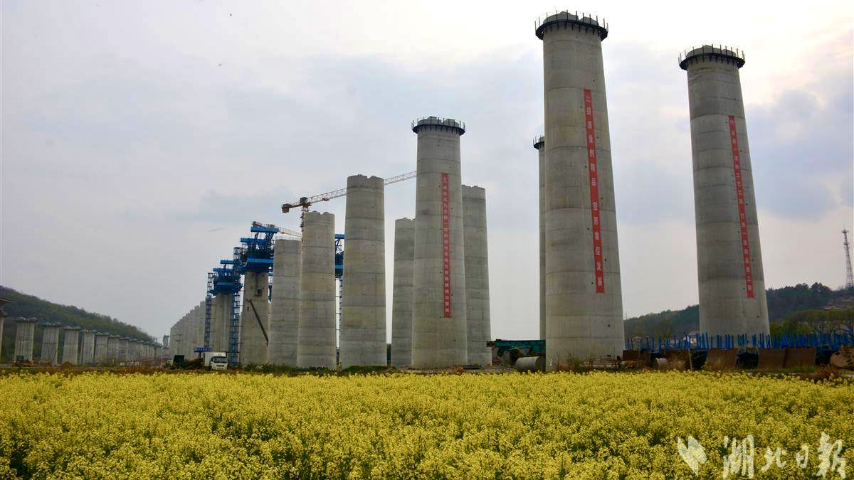 W020240902661038406596 J9直营集团【中国区】官方网站
